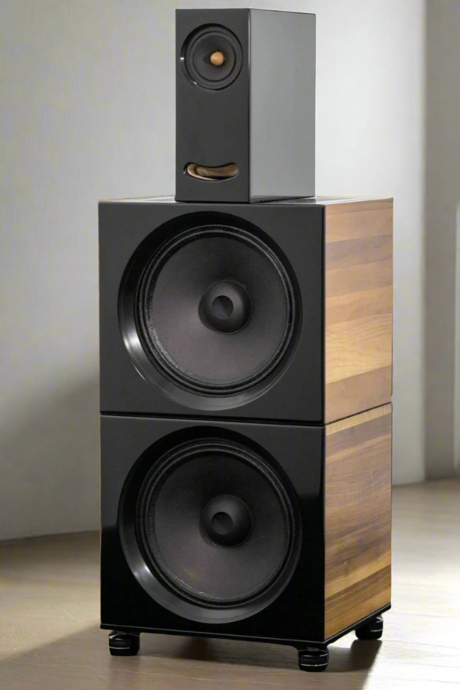 elegant black speakers in living room