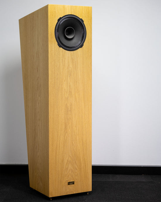 Closer Acoustics Loudspeakers Eva - early version