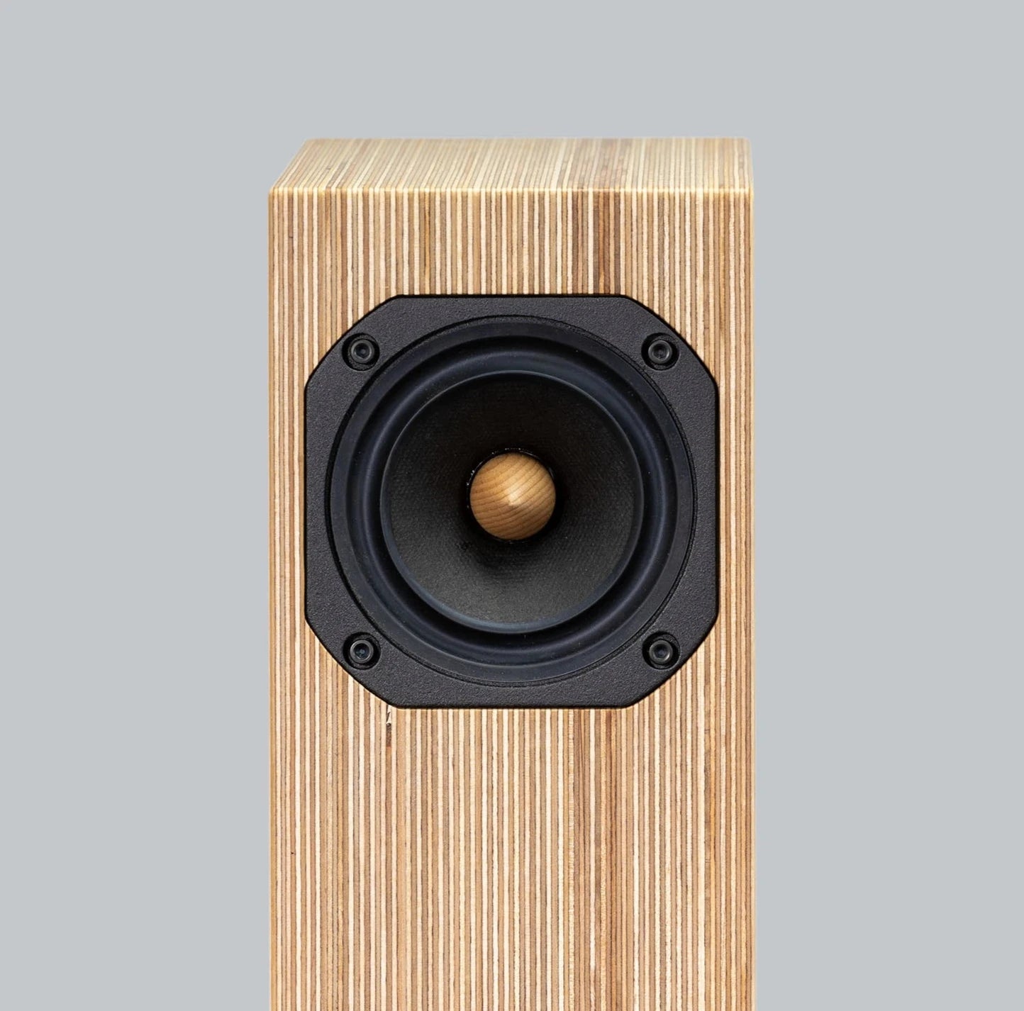 plywood loudspeakerdetail front