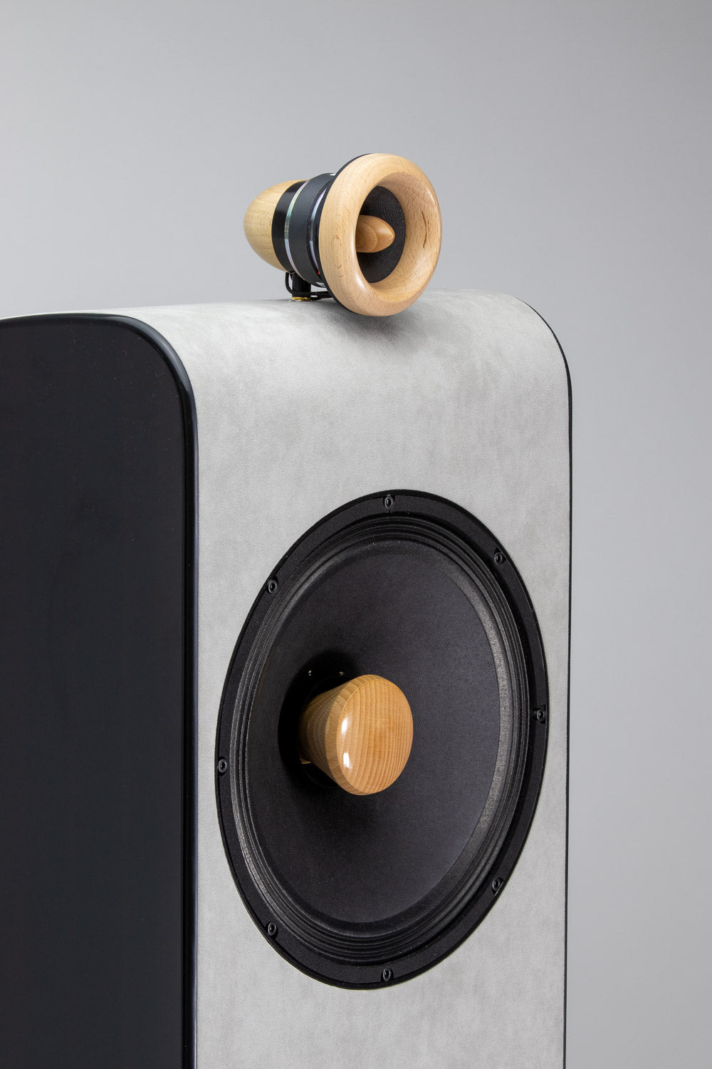 Closer Acoustics VIGO EX (field coil) Adam Sztaba Signature loudspeakers / acrylic stone - pair -